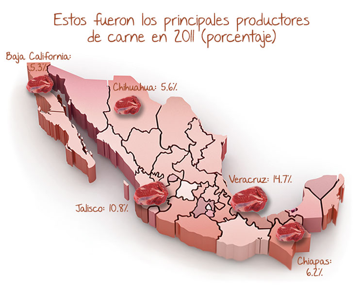 Mapa con los principales estados productores de carne de res.