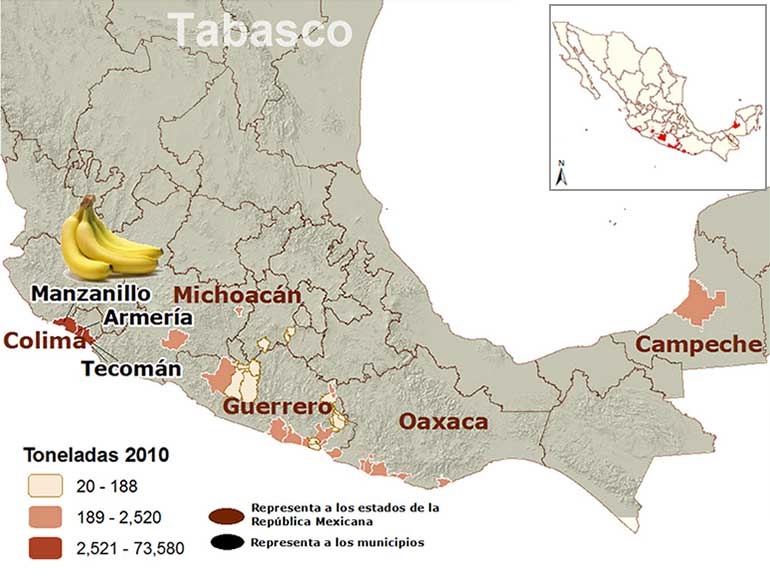 Mapa de los principales municipios productores de plátano tabasco