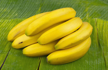 Plátanos en planta del plátano