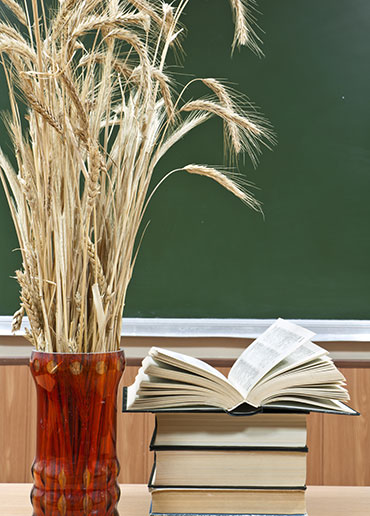 Pizarrón con trigo y libros